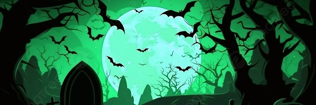skona0's profile banner image