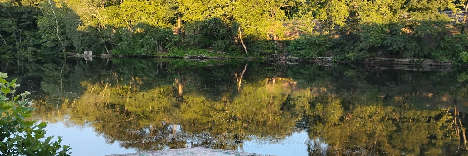 BorrelliShane's profile banner image