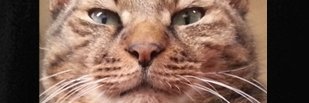 OUTEX1's profile banner image