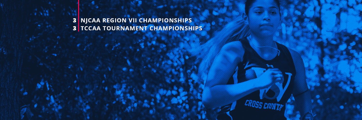 Walters State Cross Country banner