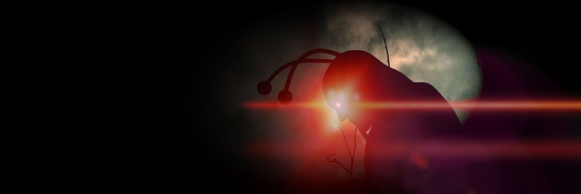 Sauroor's profile banner image
