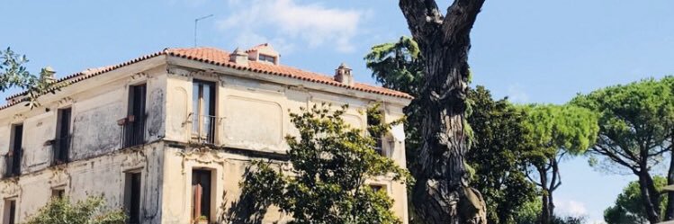 squaloazzurro's profile banner image