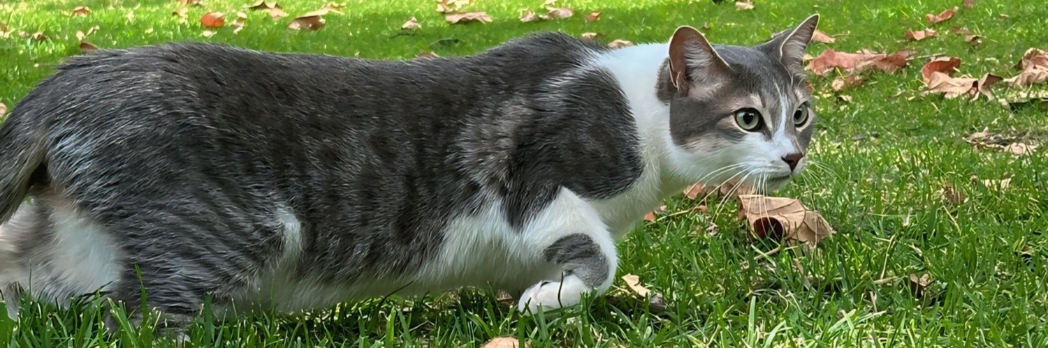 PetterRT's profile banner image