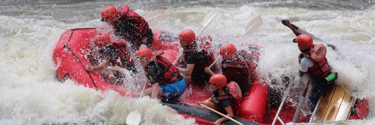 Mike Robinson banner