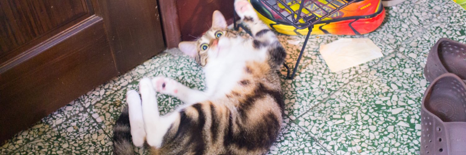 AndyChen 0504 banner