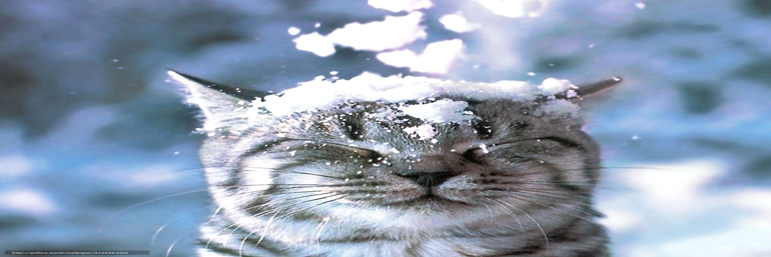 Joanna Raleigh banner