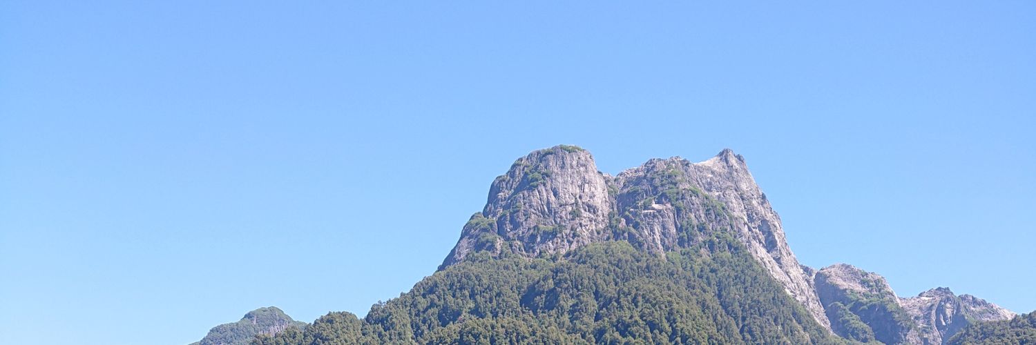 marceloandrescp's profile banner image