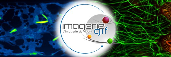 ImagerieGif Profile Banner