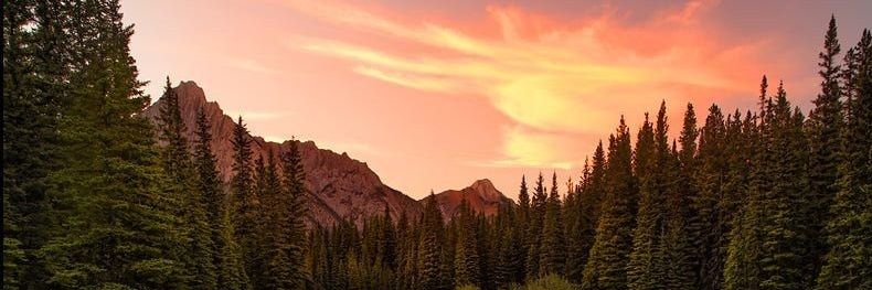 hector_cordero's profile banner image