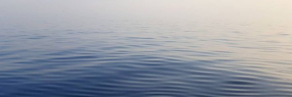 SaskiaNowicki Profile Banner