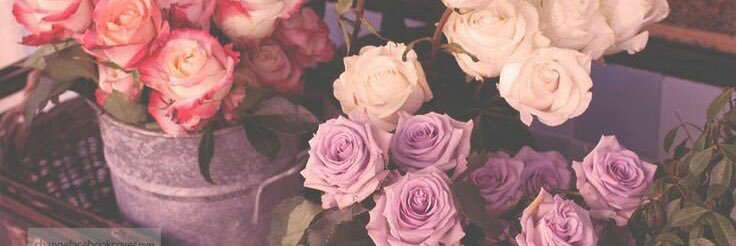 Dusitarose's profile banner image