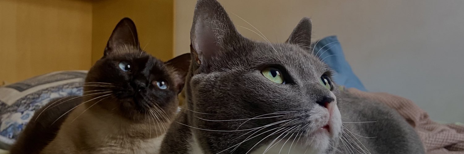 tadnfs's profile banner image