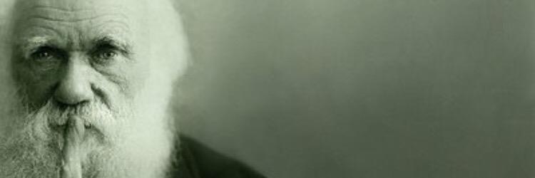 AnthonyLaFerla's profile banner image