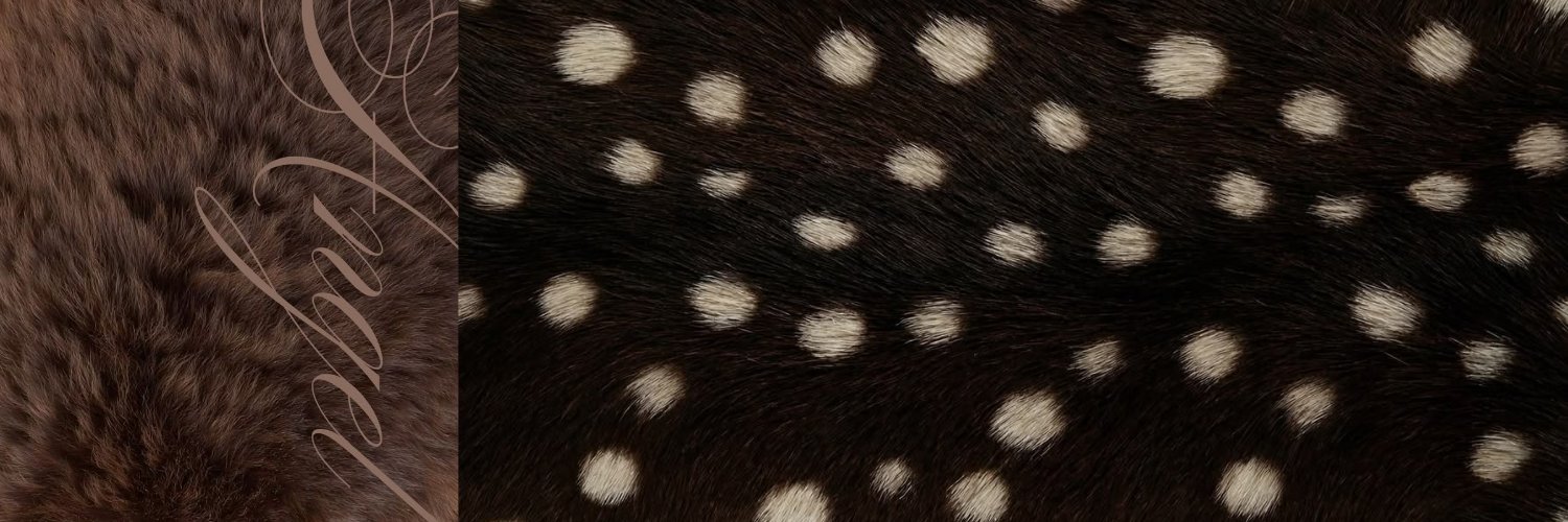 irisache's profile banner image