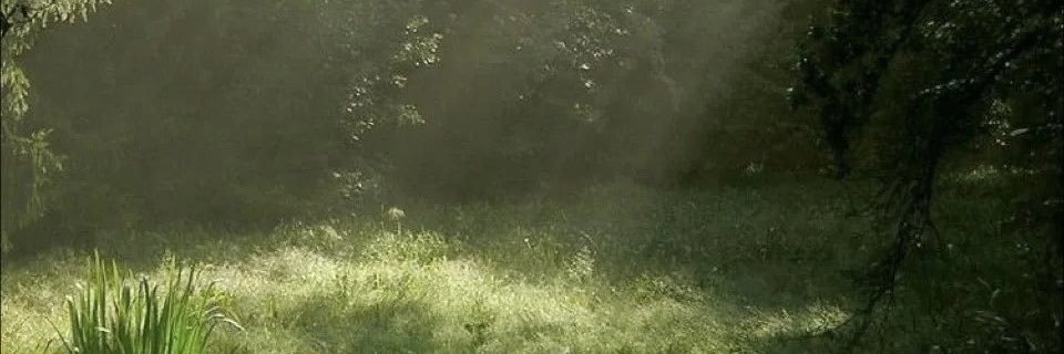 wonheiq's profile banner image