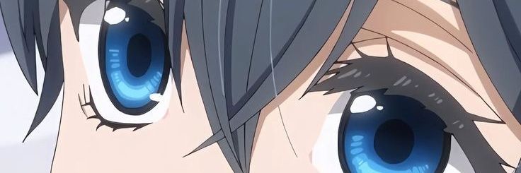 ally banner