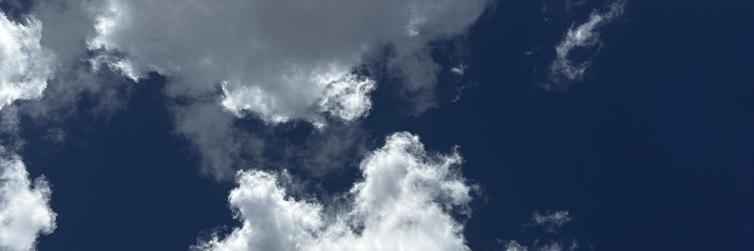 0xNinjachiip banner