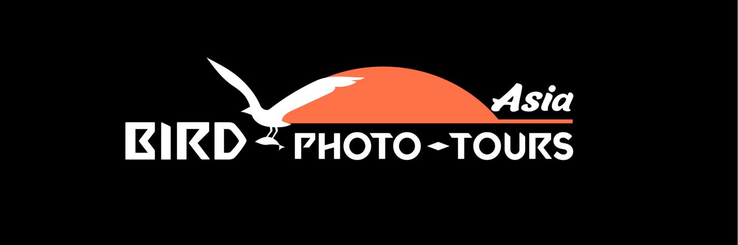 Bird-Photo-Tours ASIA banner