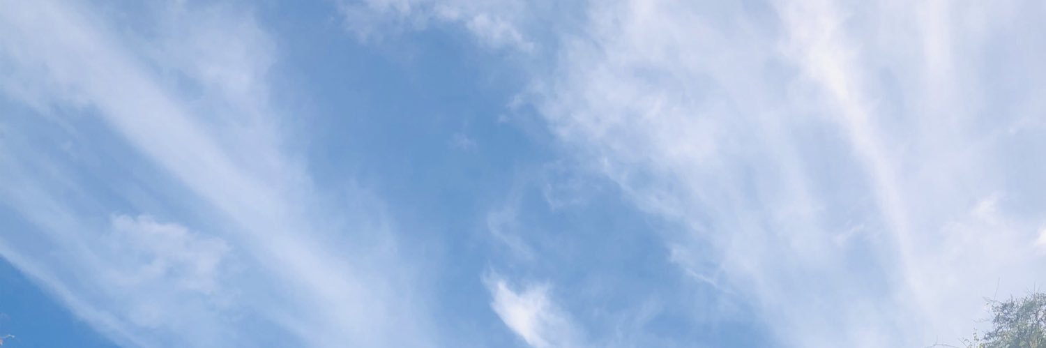 felip1304's profile banner image