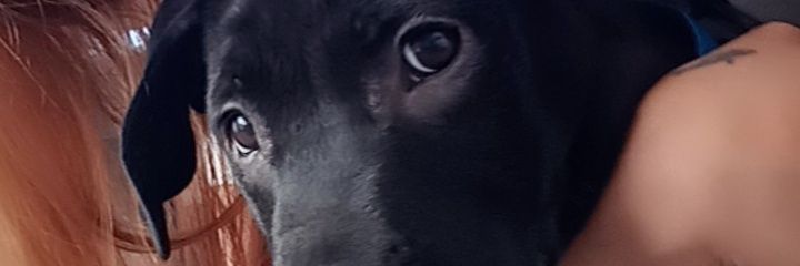 Mariana banner