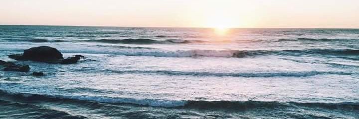 jim_macbee's profile banner image