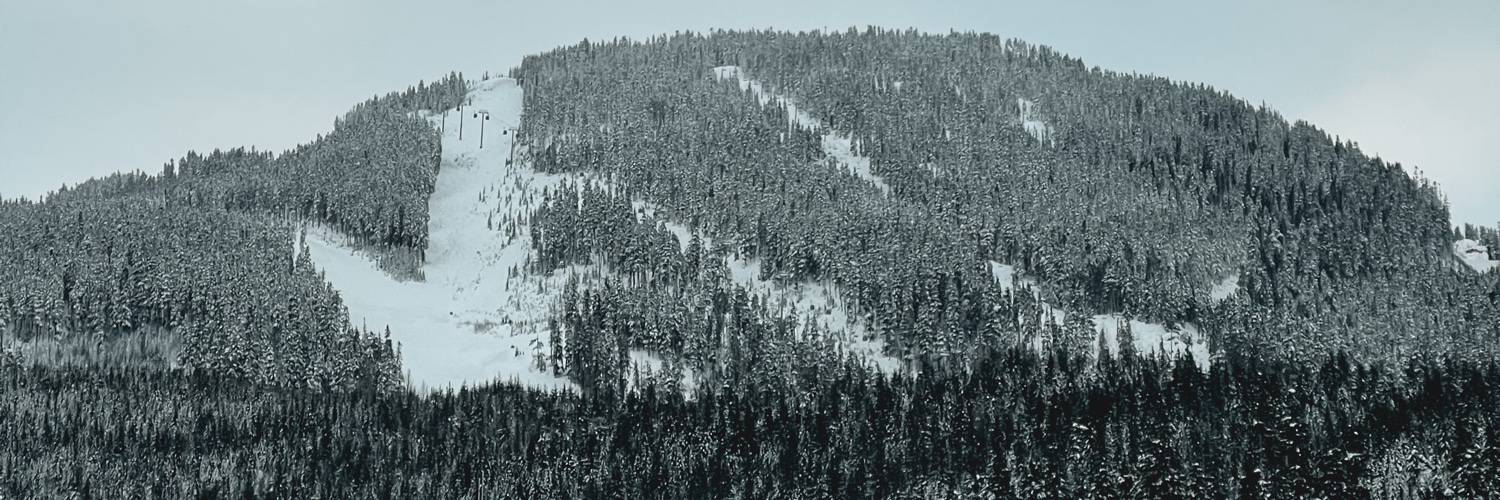manalaceloisa's profile banner image