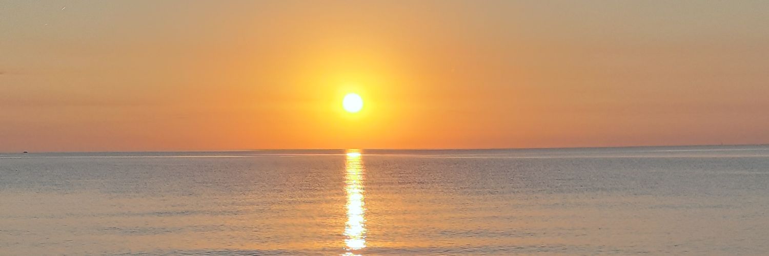 Mauri Viles Parera banner