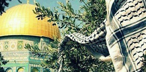 Asma2Hope's profile banner image