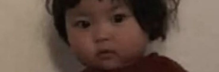 Evi banner