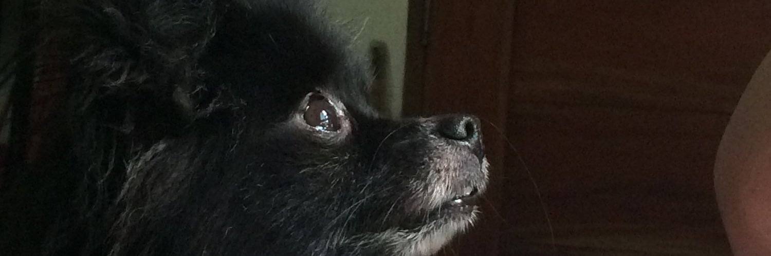 imjoannaaa's profile banner image