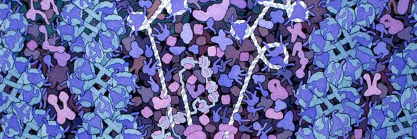 AlexLeNail Profile Banner