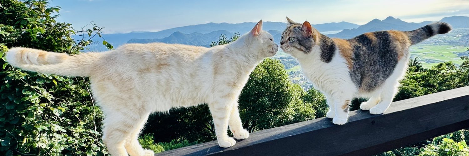 まろこ🪼 banner