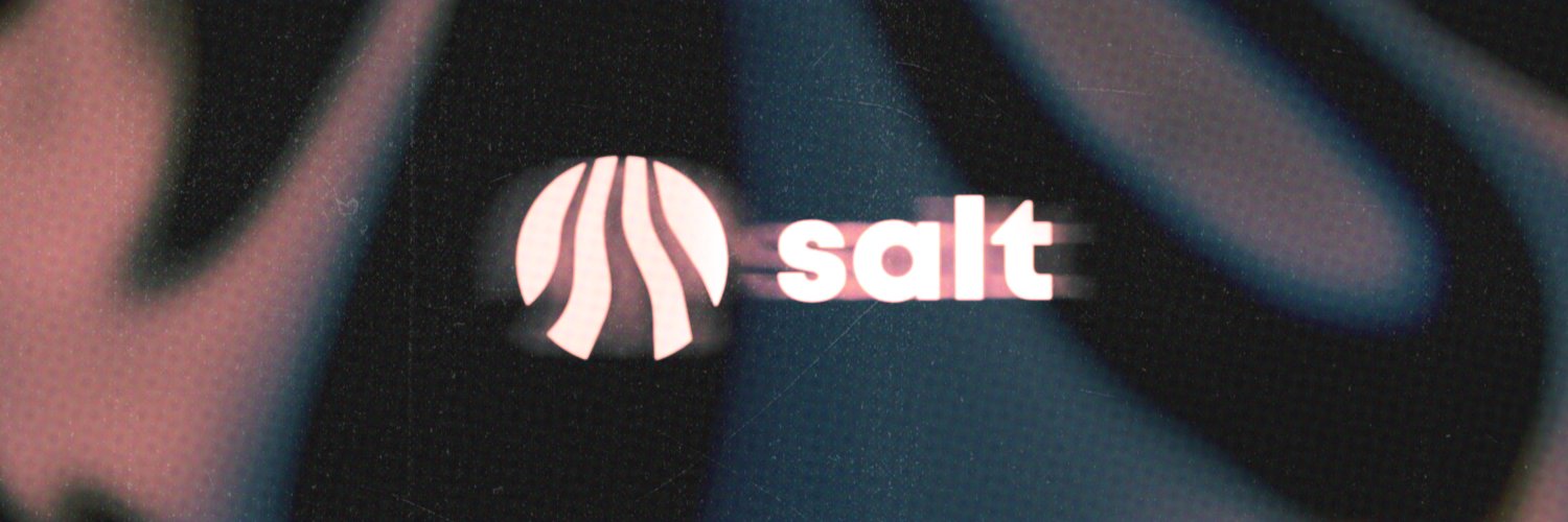 SALT (Smash Association Loire-Touraine) banner