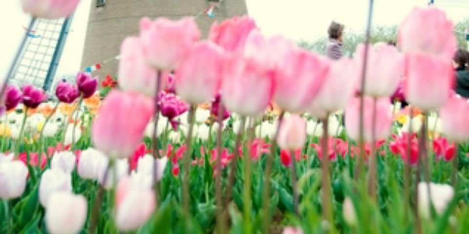 Ma93Ema's profile banner image