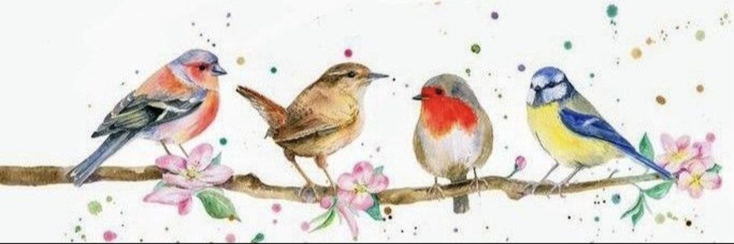 María ☀️ banner