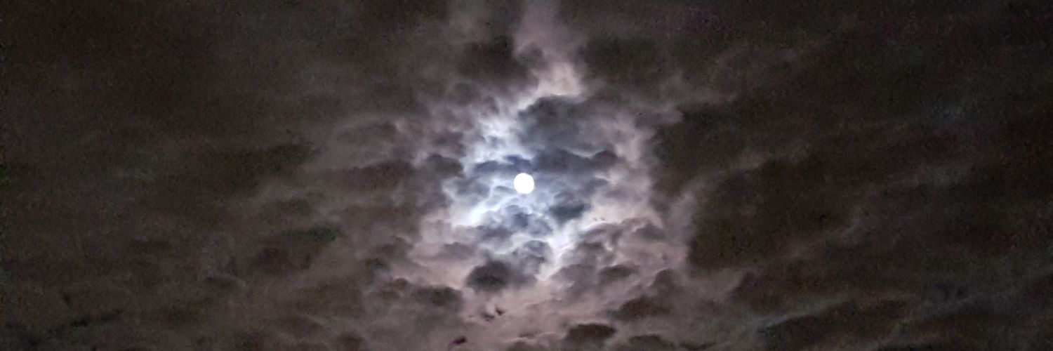 DeephoRicci's profile banner image