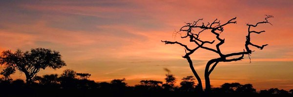 KaylaWolofsky Profile Banner