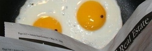 Ring-a-ding-ding banner