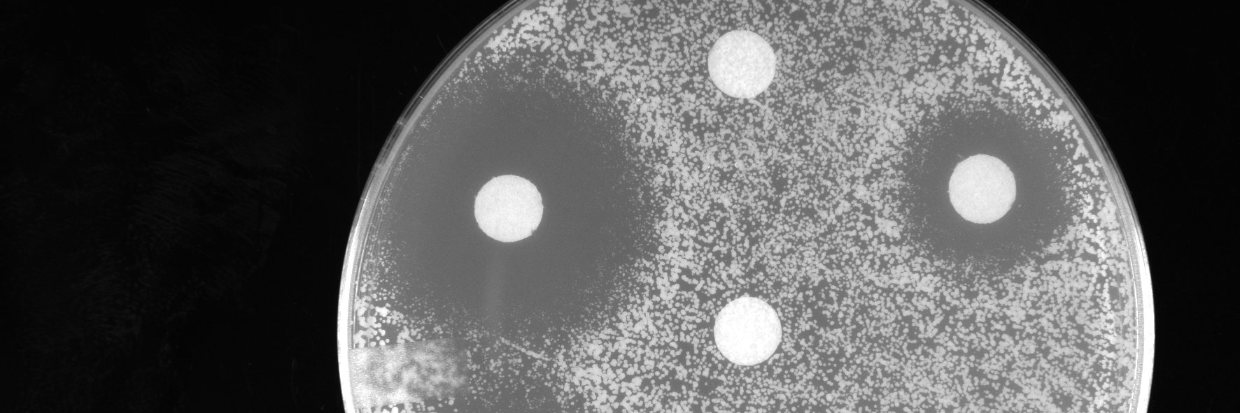 Doug Wassarman banner