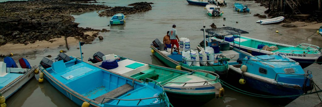 Lalito_Guzman's profile banner image