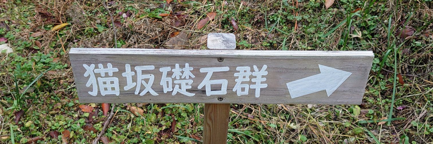 ﾎﾟﾛﾎﾟﾛｼﾞｭﾆｰ𓆓𓇌𓇌𓅱𓈖 banner