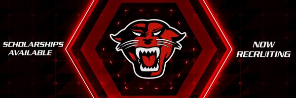 Davenport Esports Profile Banner