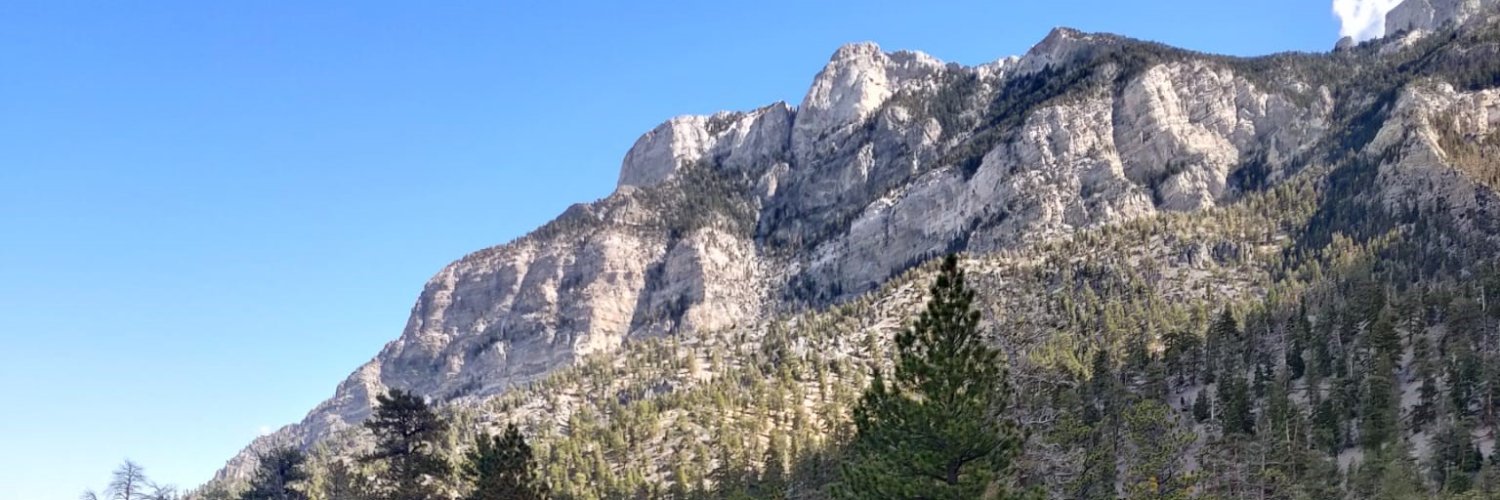 Barney Calman banner