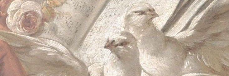 ✎ᝰ.'s banner