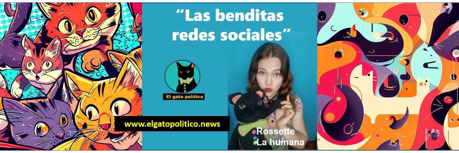 El gato político's banner