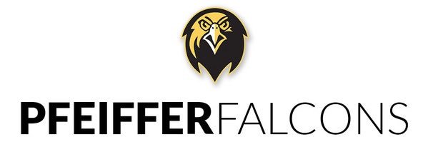 Falcon SAAC banner