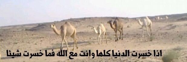 محمد المطيري banner