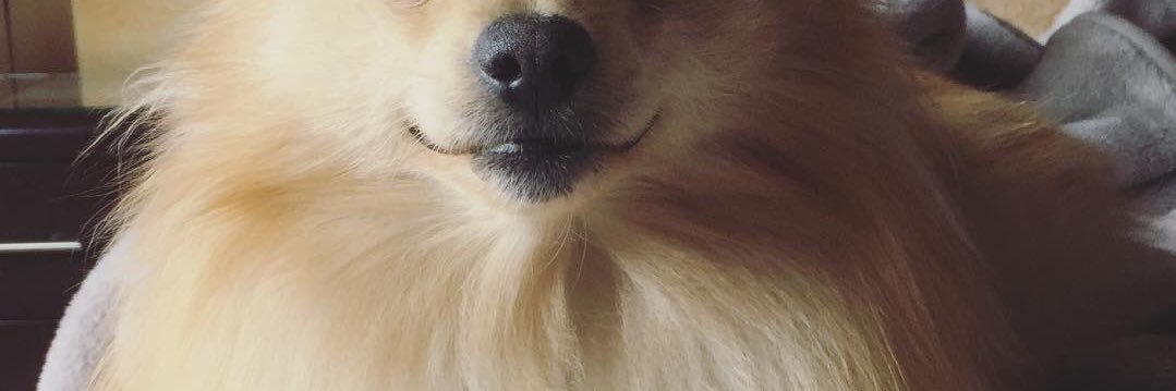 alexatorres98's profile banner image