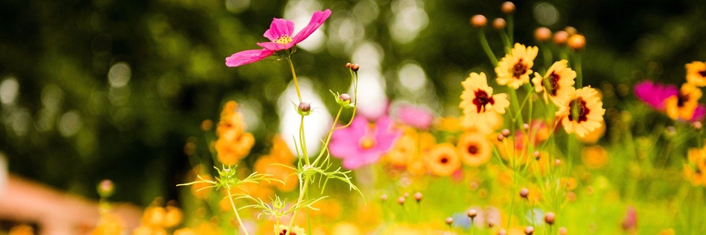 christinecmsr's profile banner image