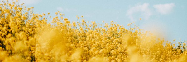 3306tomota Profile Banner